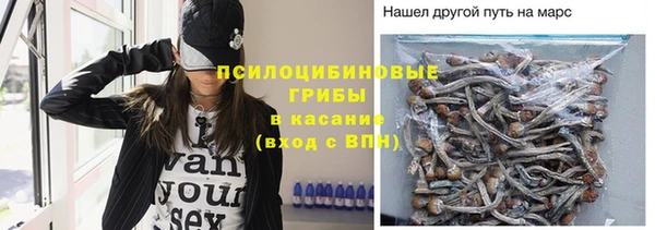 каннабис Алзамай