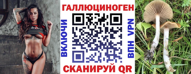 закладки  Переславль-Залесский  Галлюциногенные грибы ЛСД 