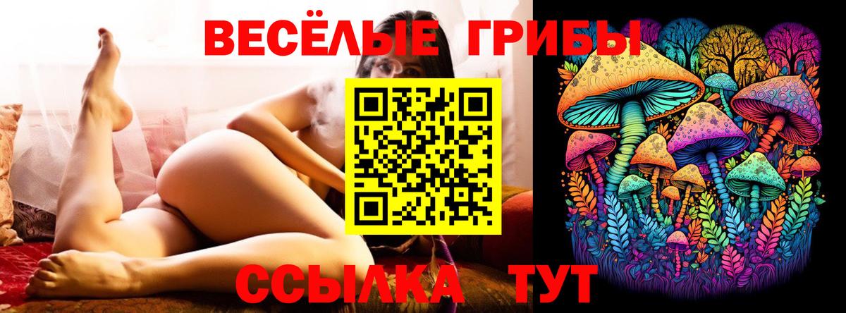 Псилоцибиновые грибы GOLDEN TEACHER Переславль-Залесский