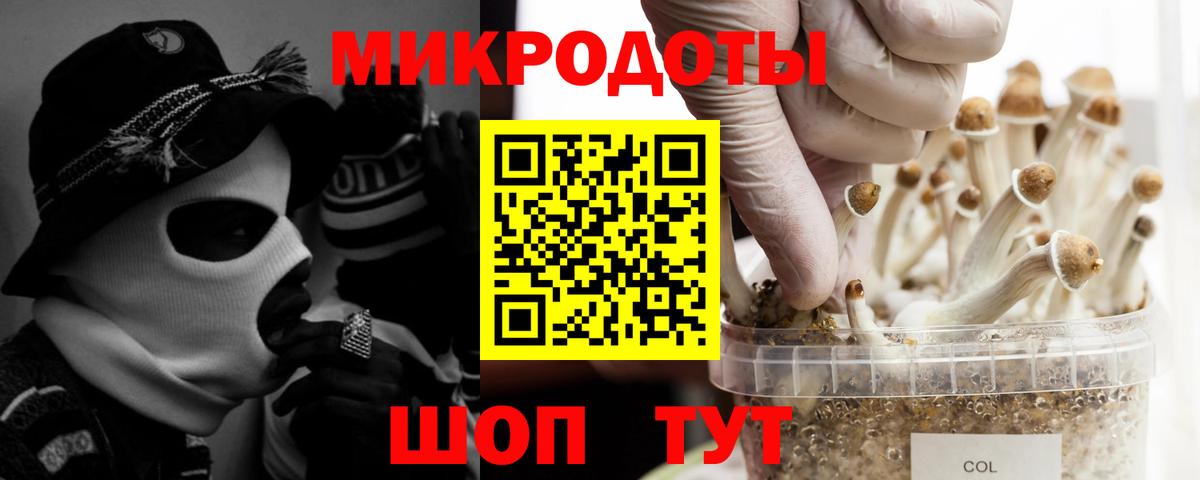 Псилоцибиновые грибы Psilocybine cubensis  Вход с VPN  Переславль-Залесский  Псилоцибиновые грибы мицелий 